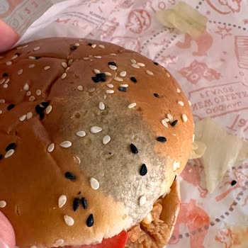 Mor Lekeli Hamburger Ekmeği Ve Yemeksepeti İletişimsizliği