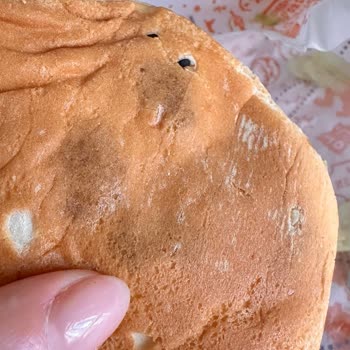 Mor Lekeli Hamburger Ekmeği Ve Yemeksepeti İletişimsizliği