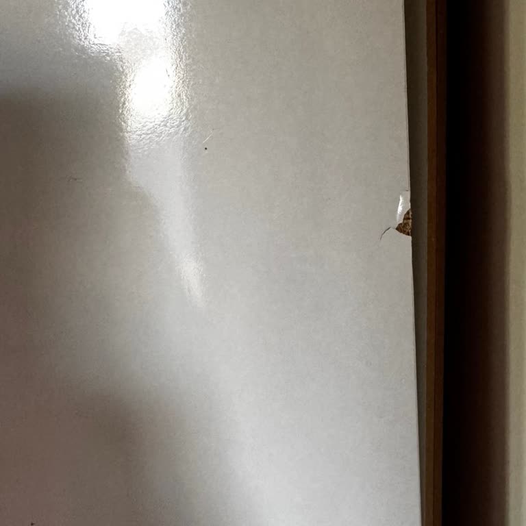 Vivense'de Kırık Gardırop Parçaları Ve 14 Gün Sonrası Yardım Reddedilmesi