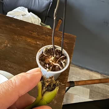 Orkidemsahane Hem Güvenimi Tamamen Sarstı Hem De Maddi Manevi Mağdur Olmama Neden Oldu