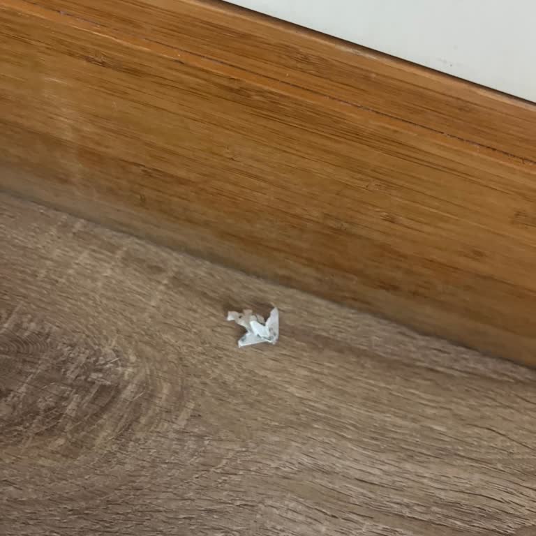 Balayı Otelinde Temizlik Ve Hizmet Kalitesi Sorunu