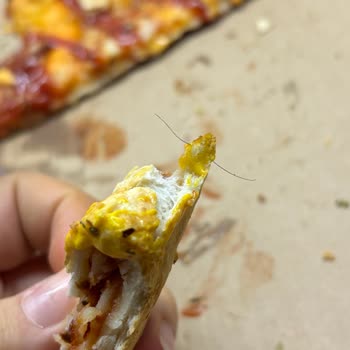 Sbarro'dan Gelen Pizzada Kıl: Hijyen İhlali Ve İade Talebi