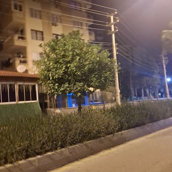 Medovi Palace Kafe Fazla Ücret Talep Edildi