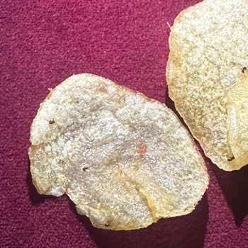 Kapalı Lay’s Cips Paketi İçinde Ölü Karınca Bulunması Gıda Güvenliği İhlali