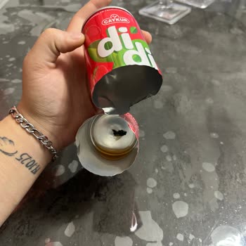 Didi İçeceğinde Ölmüş Arı Bulundu