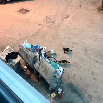 Bursa Nilüfer Çalı Mahallesi'nde Çöp Konteyneri Kokusu Sağlığı Tehdit Ediyor