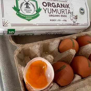 Satılan Organik Yumurtalarda Bozulma Ve Gıda Güvenliği Sorunu