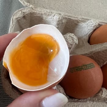 Satılan Organik Yumurtalarda Bozulma Ve Gıda Güvenliği Sorunu