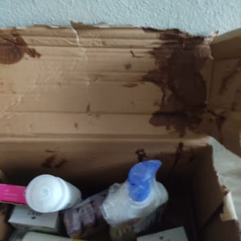Kırık Ve Kirli Kargo Paketi Nedeniyle Şampuan Patlaması Ve Hijyen Sorunu