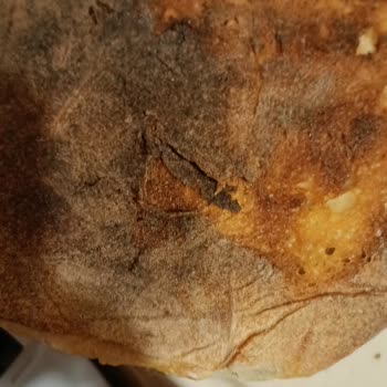 Yanık Ekmek Ve Kıl Çıkan Katmer İçin Tam İade Ve Hijyen Kontrolü Talebi