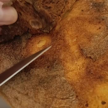 Yanık Ekmek Ve Kıl Çıkan Katmer İçin Tam İade Ve Hijyen Kontrolü Talebi