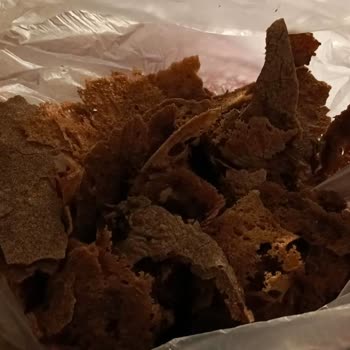 Yanık Ekmek Ve Kıl Çıkan Katmer İçin Tam İade Ve Hijyen Kontrolü Talebi