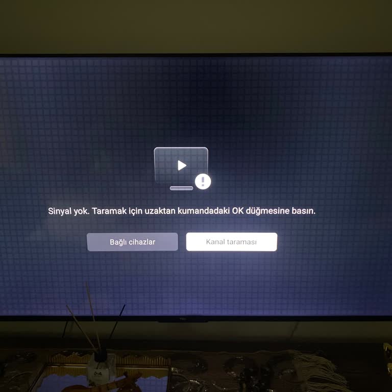 Yeni TCL TV'de Sinyal Sorunu Ve Servis İhmali