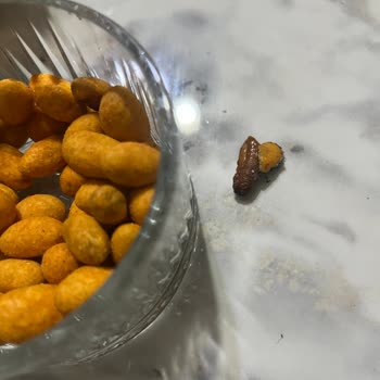 Simbat Cipsinde Hurma Çekirdeği Bulunması Diş Ağrısına Ve Sağlık Güvenliğine Tehdit