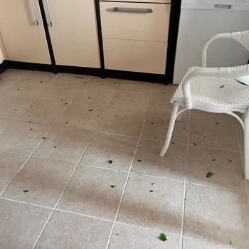 Beypazarı Maden Suyu Hiçbir Darbe Almamış Bir Cam Şişenin Patlaması