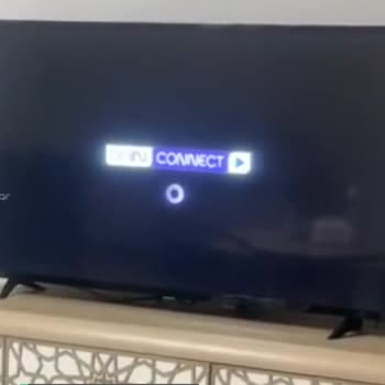Sunny Bein Connect Takılı Kalıyor Giriş Ekranında
