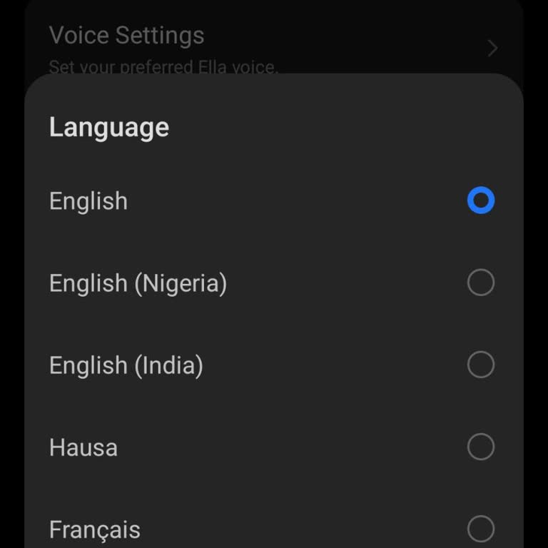 Ella Asistanı Türkçe Dil Seçeneği Sunmuyor, Sosyal Turbo’da WhatsApp Ses Değiştirici Yok