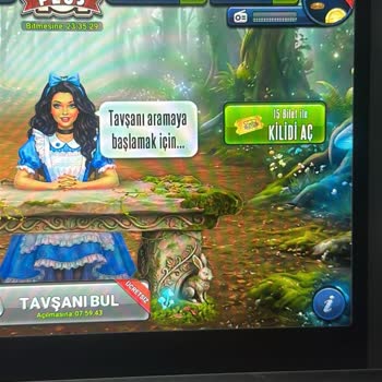 1.714 TL Harcama Sonrası Haksız Ban Ve Çip Kaybı