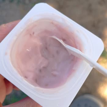 Dost Markalı Yoğurtta Saç Tespiti Hijyen Güvenini Sarsıyor