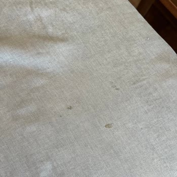 Rossmann Domol Ütü Suyunda Koyu Lekeler Ve Ütü Tabasının Bozulması