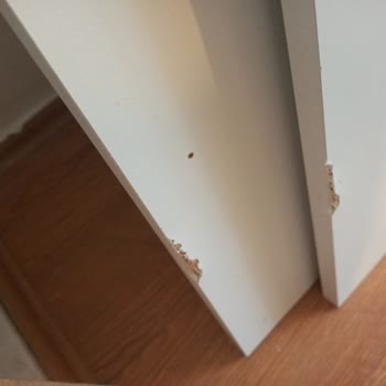 Hasarlı Gardırop Teslimatı Ve Çözüm Bulamayan Müşteri Şikayeti