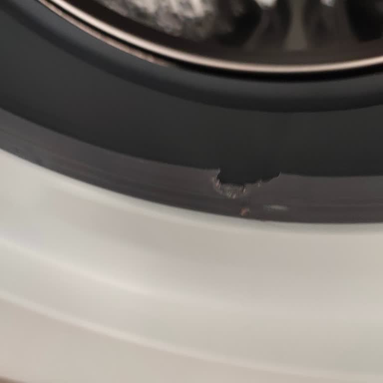 Yeni Samsung Çamaşır Makinesinin Kapak Körüğü Kısa Sürede Yırtıldı, Servis Tüketici Hatası İddiası
