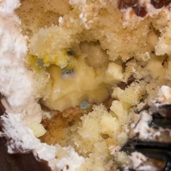 Maya Pastaneleri Diyarbakır Küflü Pasta Ve Sağlık Riski İade Talebi