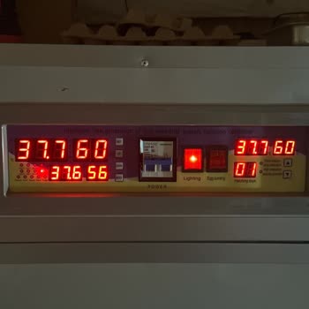 Epilons Kuluçka Makinesinde Yanlış Sıcaklık Gösterimi Yüzünden Yumurta Kayıpları