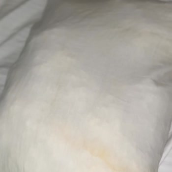 Ayvalık Stone Hill Otel’de Hijyen Ve Personel Eksikliği Nedeniyle Tam İade Talebi