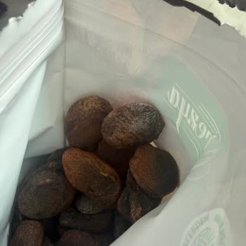 A101 Bolu Şubesinde Satın Alınan Çerezya Gün Kurusu Ürünün Küflü Çıkması
