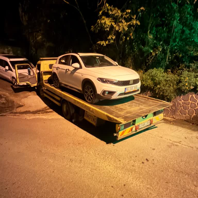 Rezervasyon Dışı Araç Ve Arızalı Kiralama Sonrası Taksi Masrafı Karşılanmadı