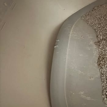 Xenon Smart Kedi Tuvaleti Arızalı, Garanti Talebime Cevap Gelmiyor