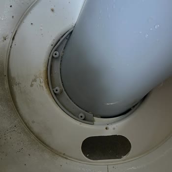 Koçtaş Kedi Tuvaletinde Sürekli Sızdırma Ve Satıcı Tarafından Kedinin Suçlanması