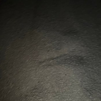 Tozlu Ve Küçük Taneli Kedi Kumu İade Talebi