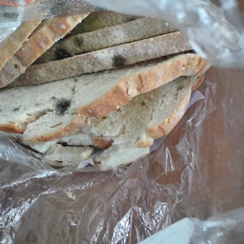 Müşteri Şikayeti: Ekmek Son Kullanma Tarihi Geçmeden Küflendi, Mağaza İade Reddetti