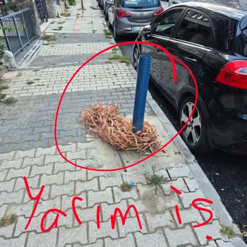 Ayedaş’ın Çınarlı Sokak Elektrik Şebekesi Yenileme Çalışması Tamamlanmadı, Yol Ve Aydınlatma Sorunlu