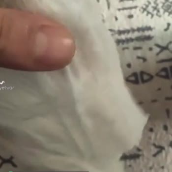 Sleepy Markasının Hatalı Ve Deforme Bezleri