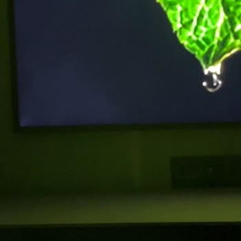 Samsung TV'de Işık Sızması Sorunu Yetkili Servis Tarafından Göz Ardı Edildi