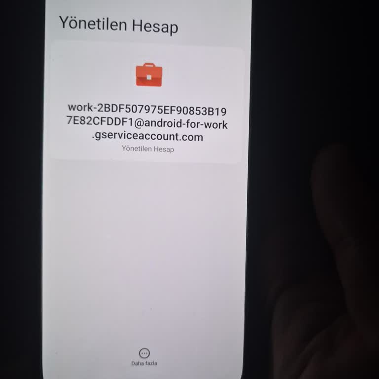 Yönetilen Telefon Satın Alındı, Kişisel Kullanım Engellendi