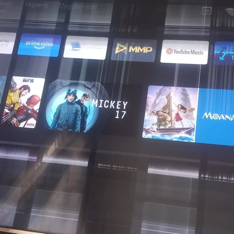 Vestel Televizyonunda Tekrarlayan Panel Arızası Ve 17 Bin TL Onarım Ücreti