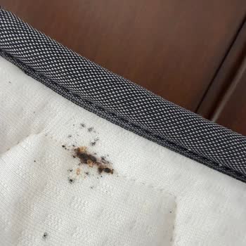 Yataş'tan Aldığım Yatak Ve Baza Ürünlerinde Tahtakurusu Sorunu İade İstiyorum