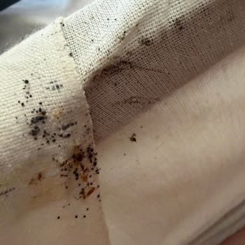 Yataş'tan Aldığım Yatak Ve Baza Ürünlerinde Tahtakurusu Sorunu İade İstiyorum