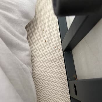 Yataş'tan Aldığım Yatak Ve Baza Ürünlerinde Tahtakurusu Sorunu İade İstiyorum