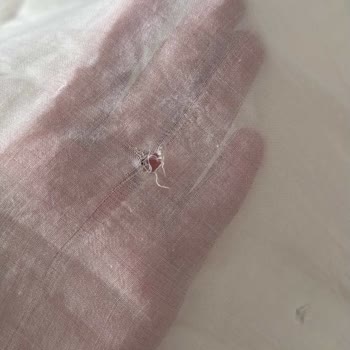 Sistemde İade Talebi Açamama Sorunu Yırtık Şal Ücret İadesi Talebi