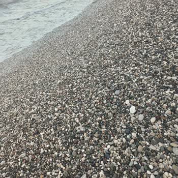 Rox Resort Hotel Hem Deniz Hem Oda Koşulları Nedeniyle Ciddi Şekilde Mağdur Olduğumuzu Düşünüyorum
