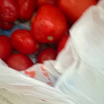 Migros Sanal Market’ten Çürük Rio Domates Teslimatı Ve Ücret İadesi Talebi