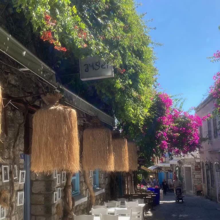 Sıkışık Ve Konforsuz Araç Personelin Saygısız Tutumu Ve Yetersiz Tur Planlaması