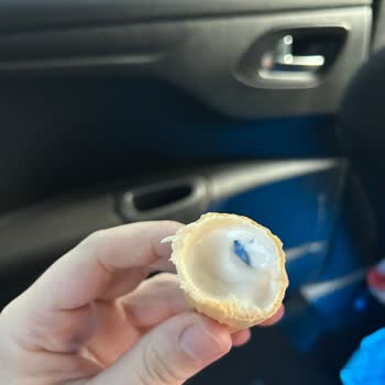 Burger King Nilüfer Şubesinde Dondurmasında Bulunan Plastik Parça: Hijyen Ve Güvenlik Sorunu