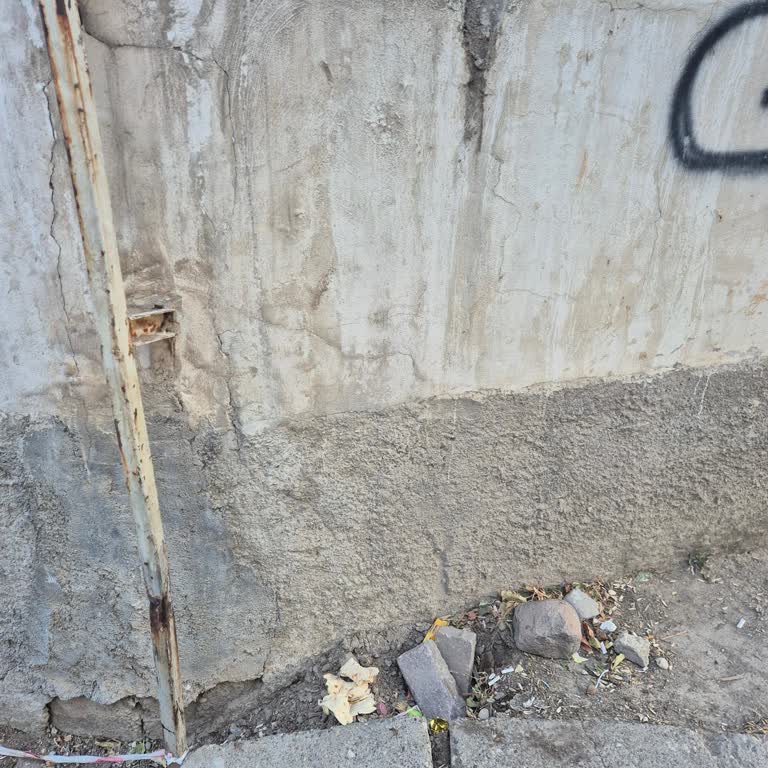 Belediye Hatası Nedeniyle Uzun Süreli İnternetsiz Kalma Ve Çözüm Talebi