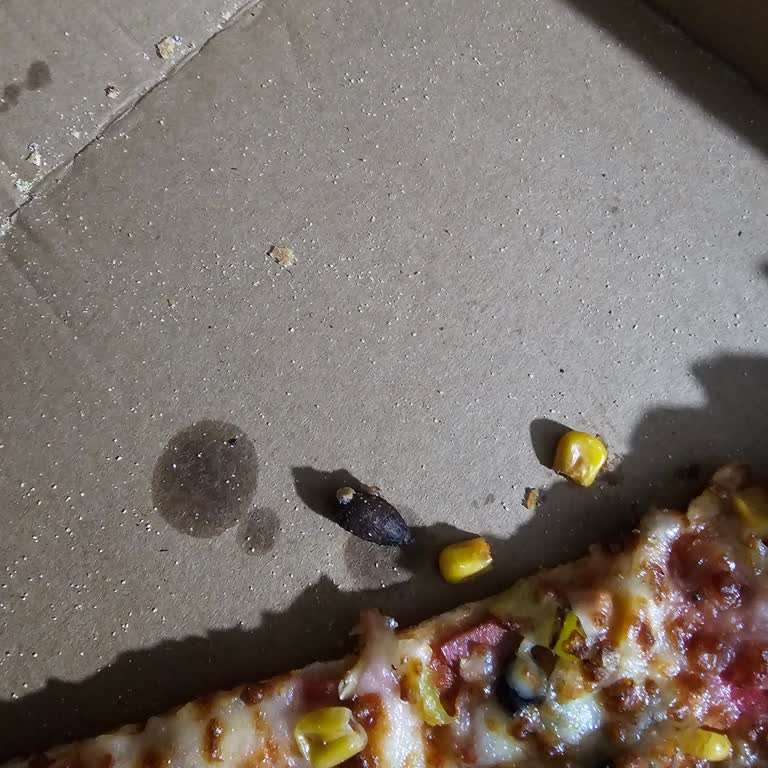 Domino’s Şubesinde Zeytin Çekirdeği Çocuğumun Nefesine Tehlike Oluşturdu